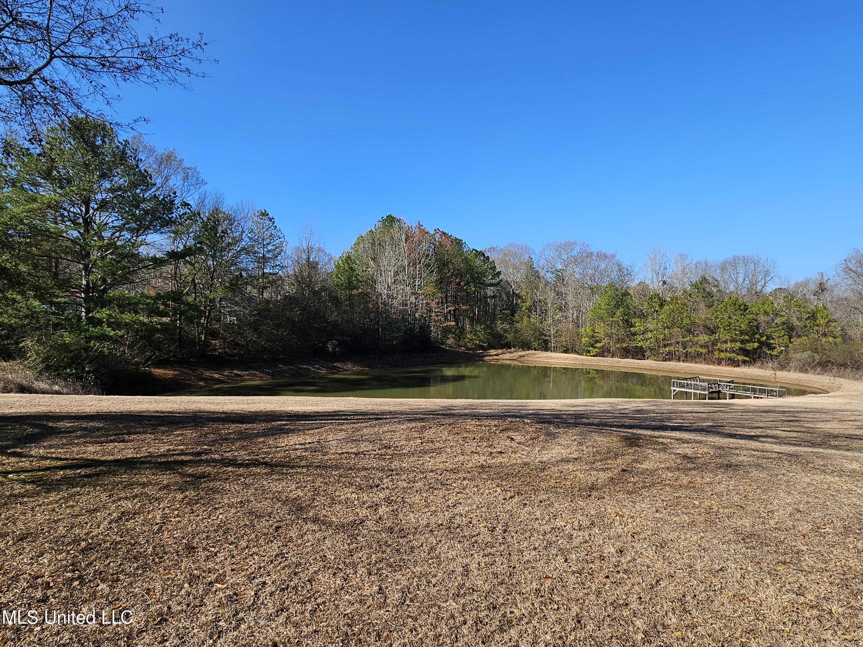 146 Newsome Road Mendenhall, MS 39114 - Photo 3 of 17 20240119_102417