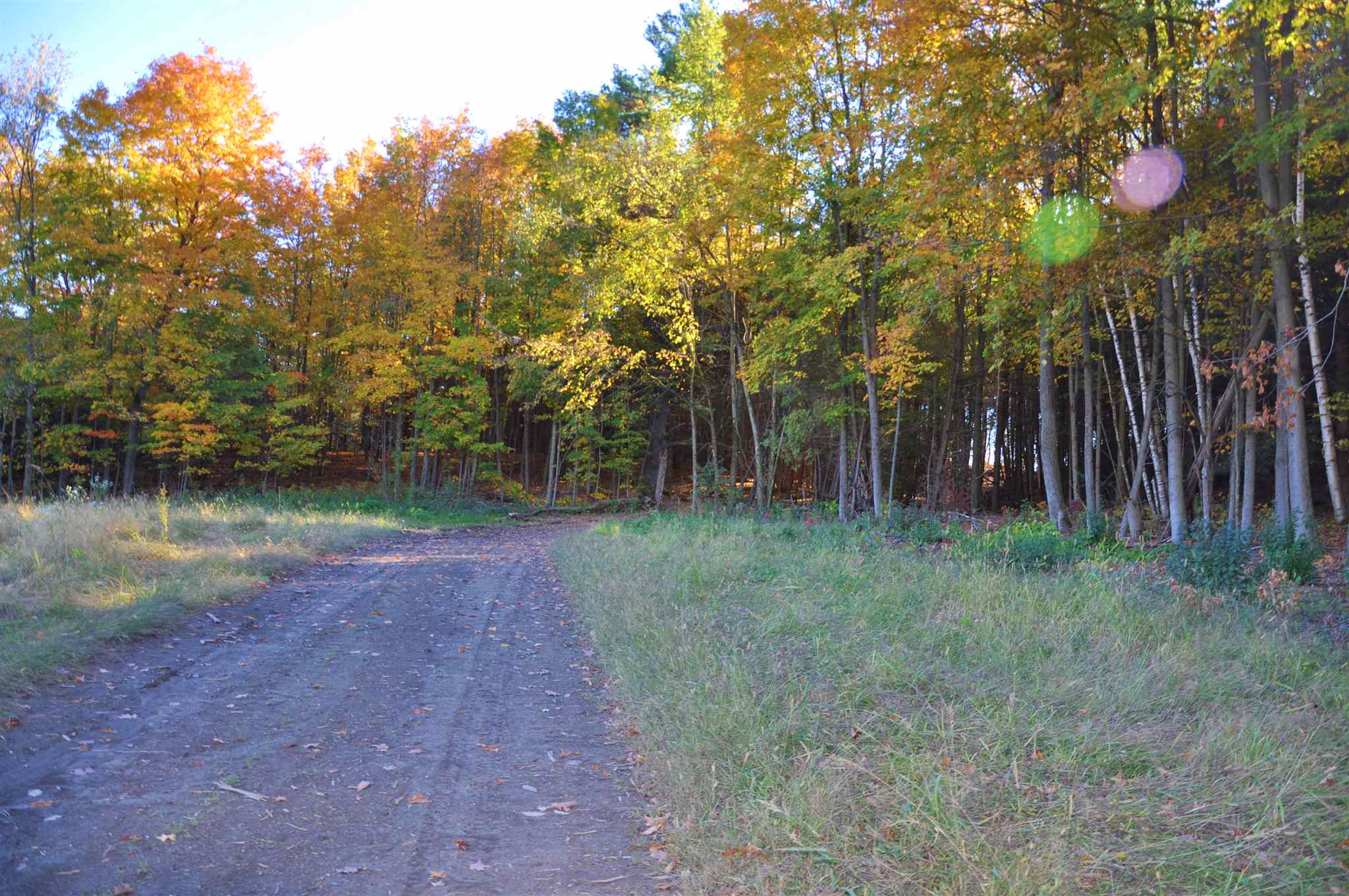 Lot 5 Finney Ridge, Unit POND RD Shelburne, VT 05482 - Photo 14 of 22 Gallery Image 14