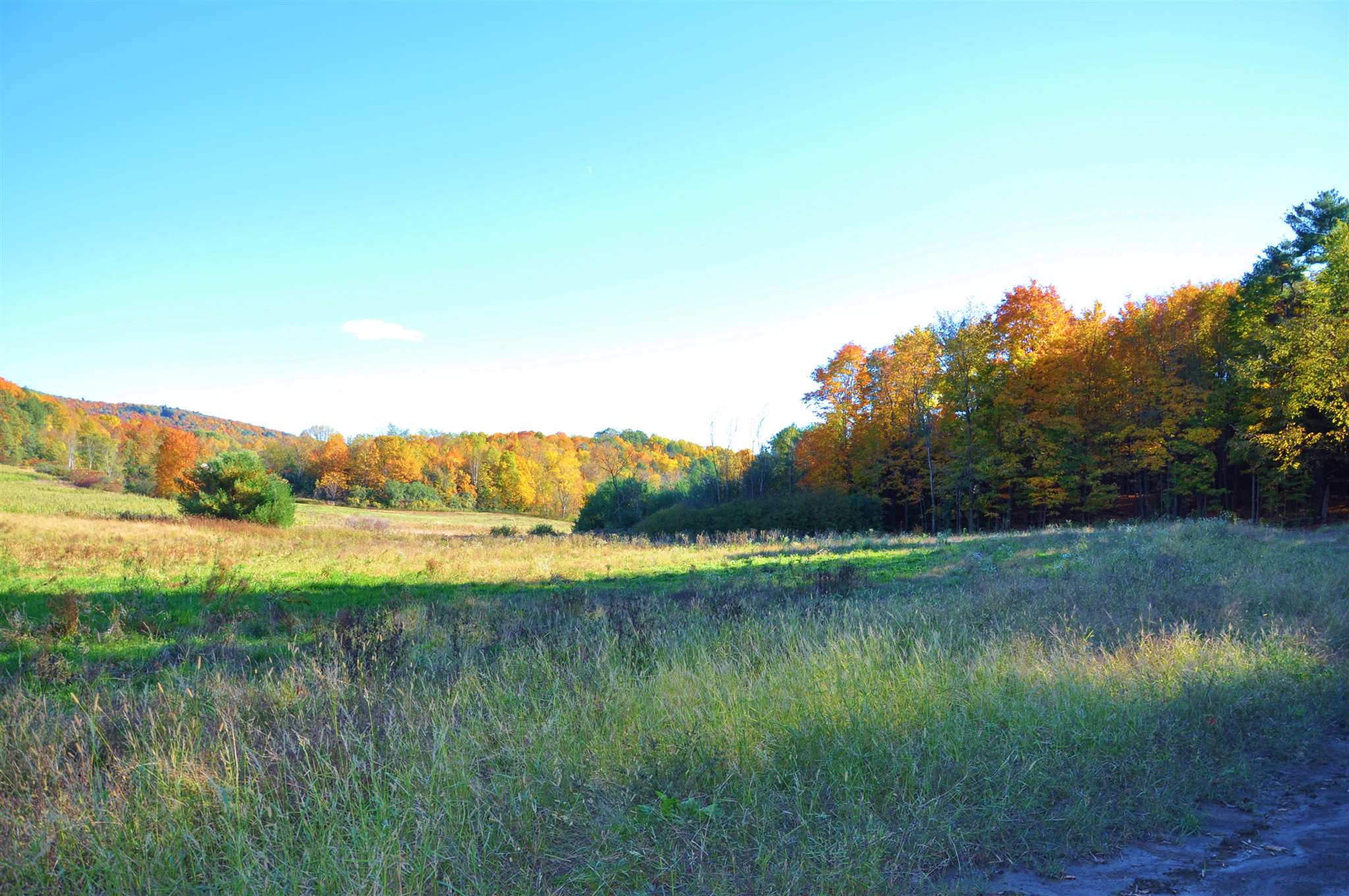 Lot 5 Finney Ridge, Unit POND RD Shelburne, VT 05482 - Photo 8 of 22 Gallery Image 8