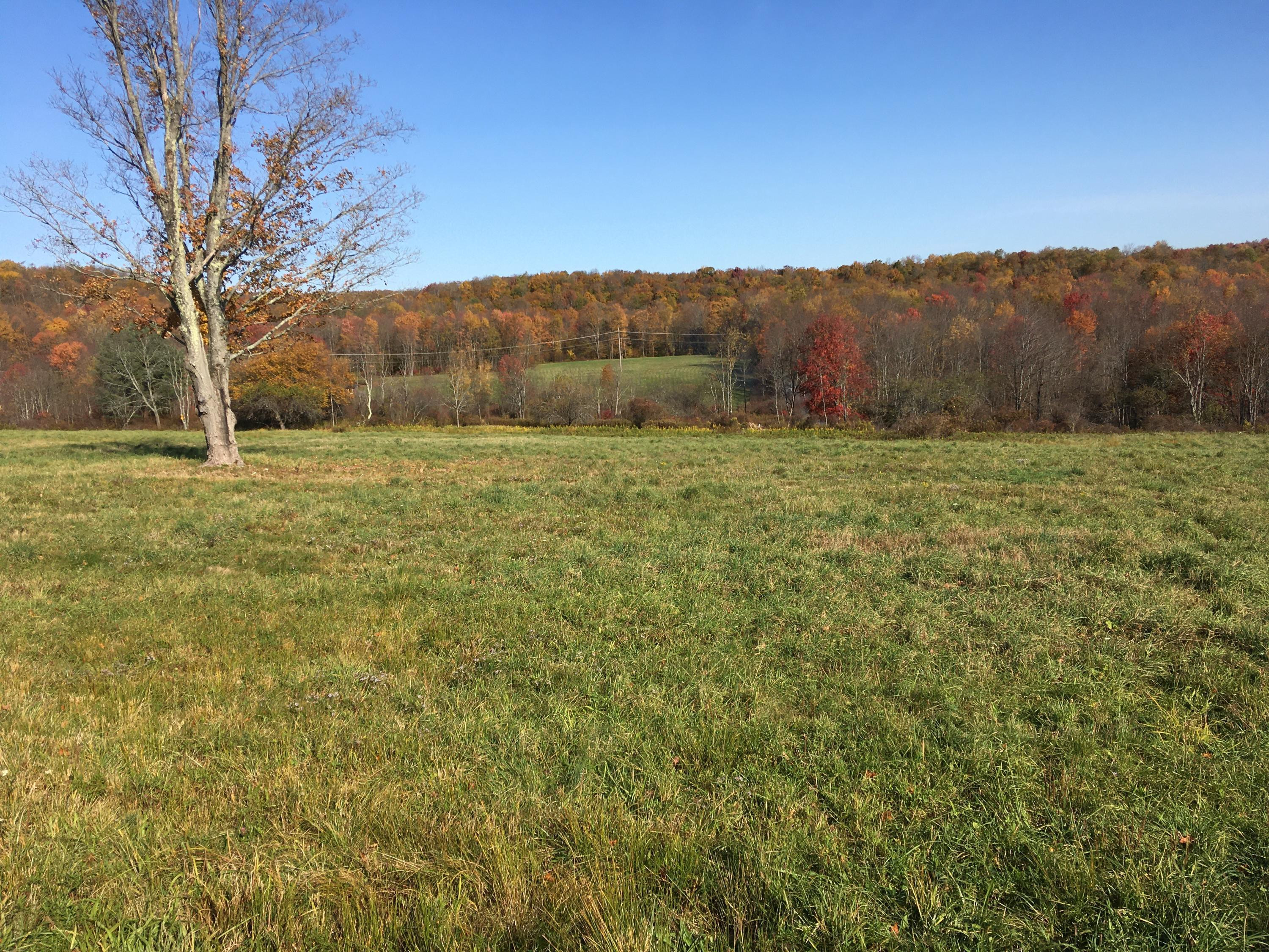 185 Como Road Lakewood, PA 18439 - Photo 14 of 19 Como Rd 1