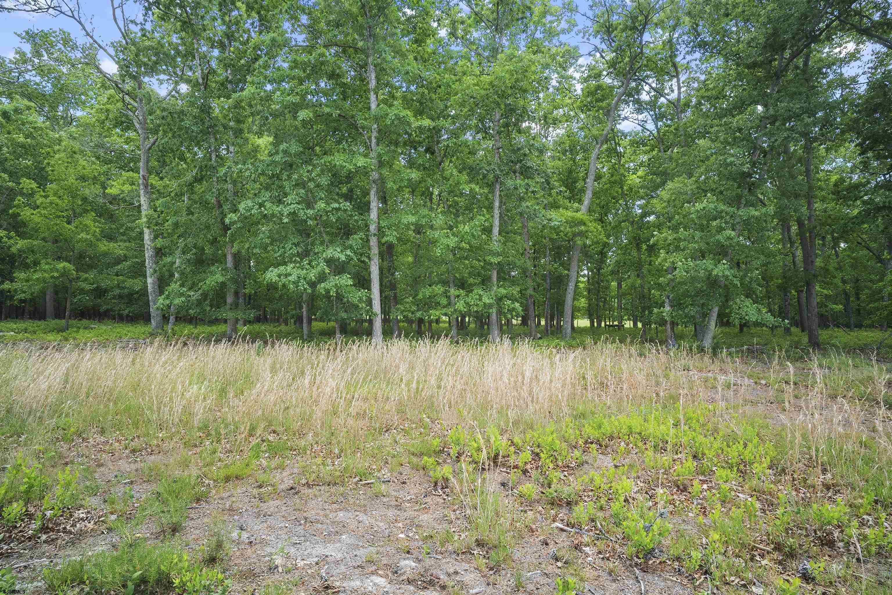 1110 Columbia Road Hammonton, NJ 08037 - Photo 41 of 45
