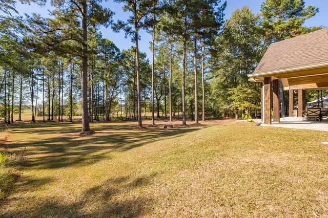 a view of outdoor space with trees