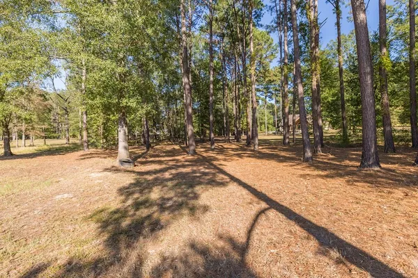 a view of outdoor space with trees