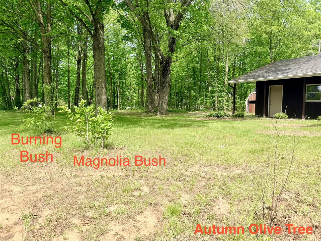 13953 Minnich Road Sawyer, MI 49125 - Photo 55 of 56