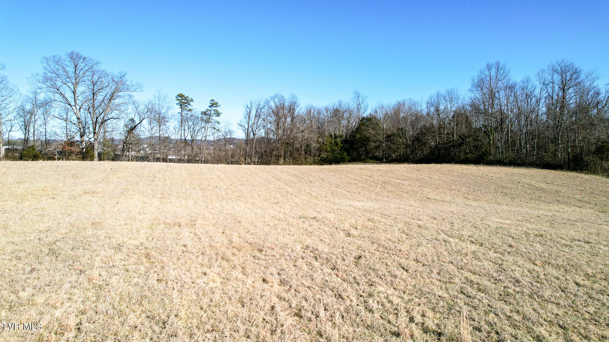 308 Norton Road Greeneville, TN 37745 - Photo 11 of 56 DJI_0014