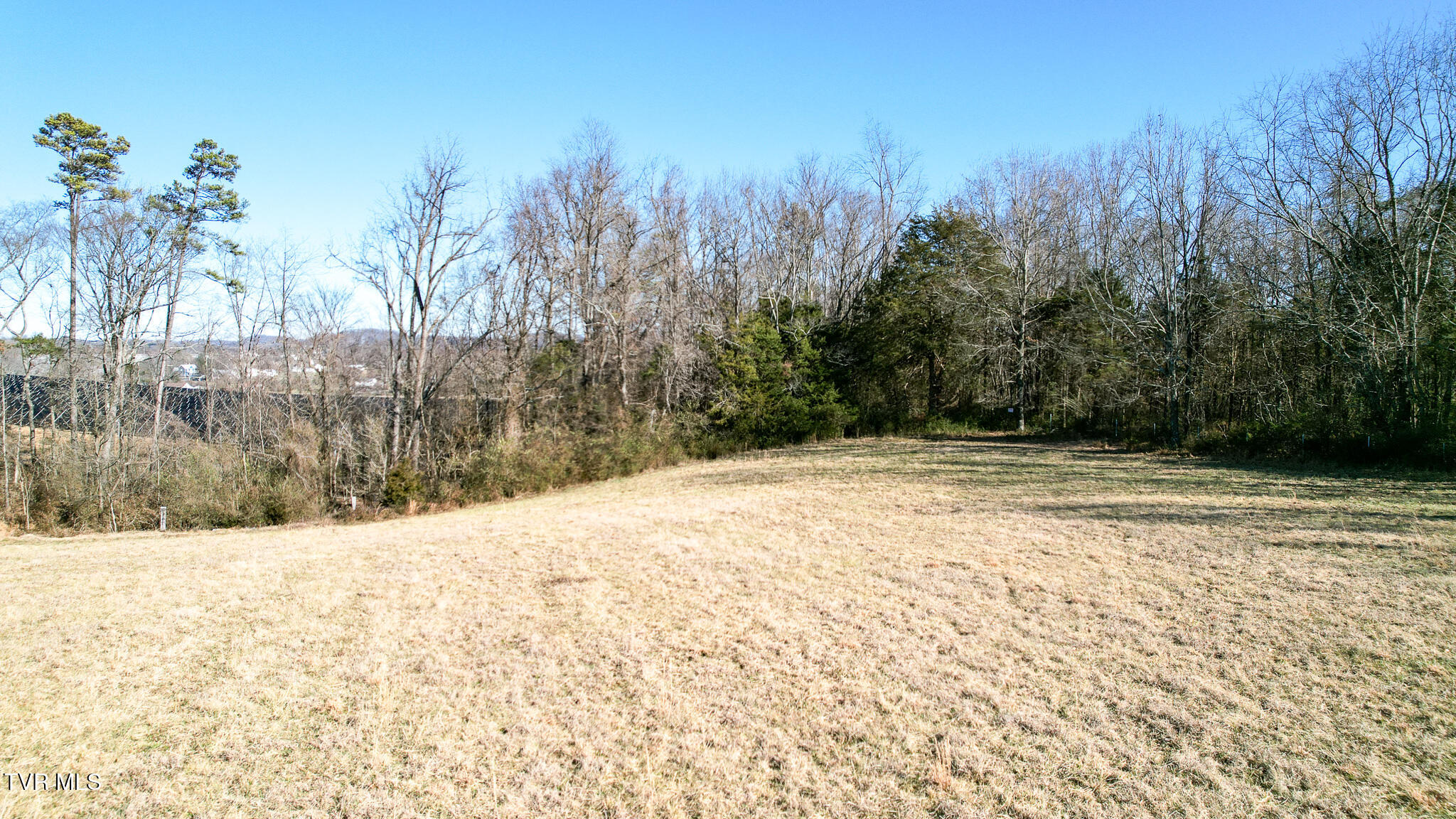 308 Norton Road Greeneville, TN 37745 - Photo 12 of 56 DJI_0015