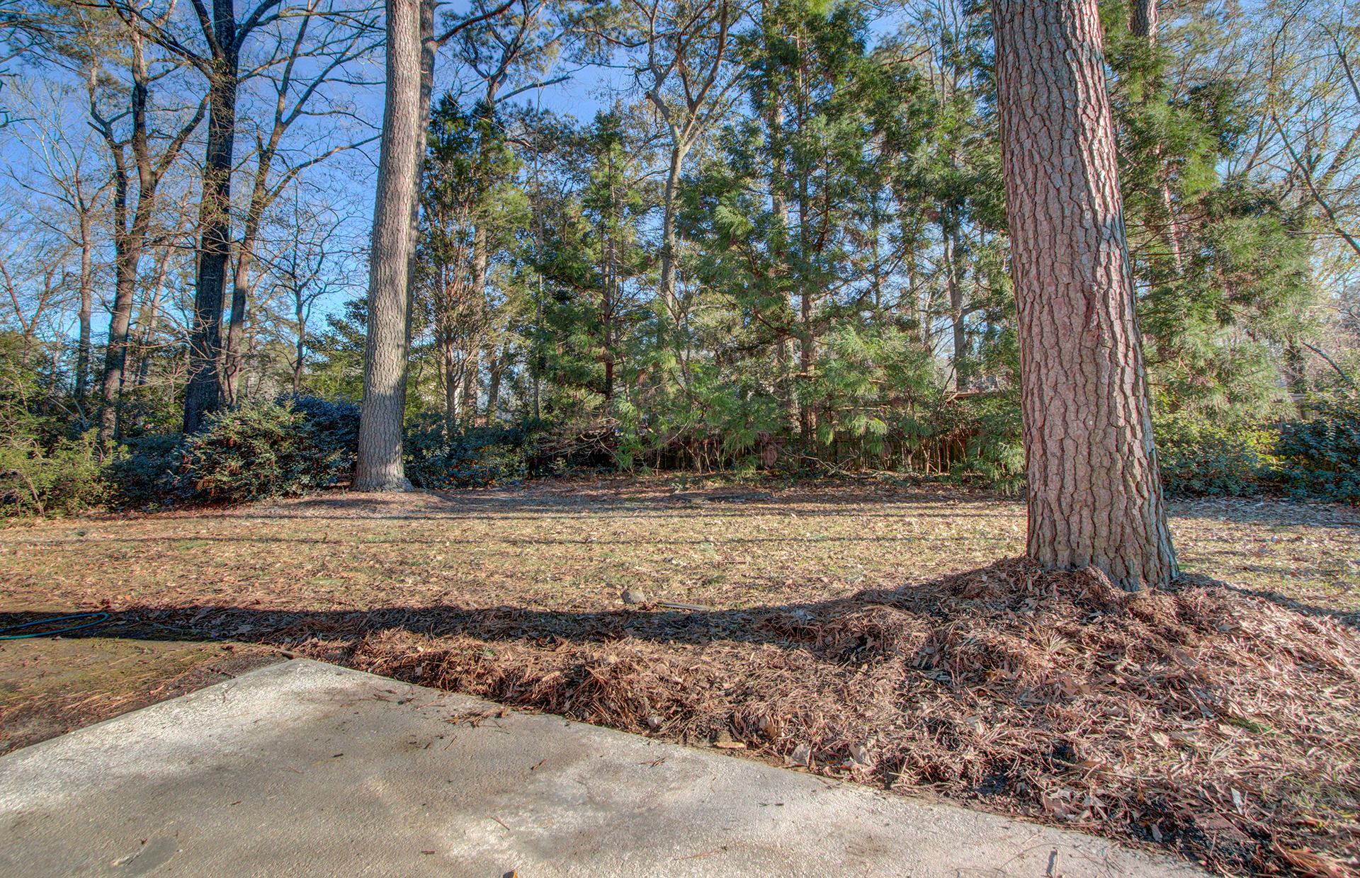 206 Sweetbriar Road Summerville, SC 29485 - Photo 22 of 24 206 Sweetbrair Road (22)