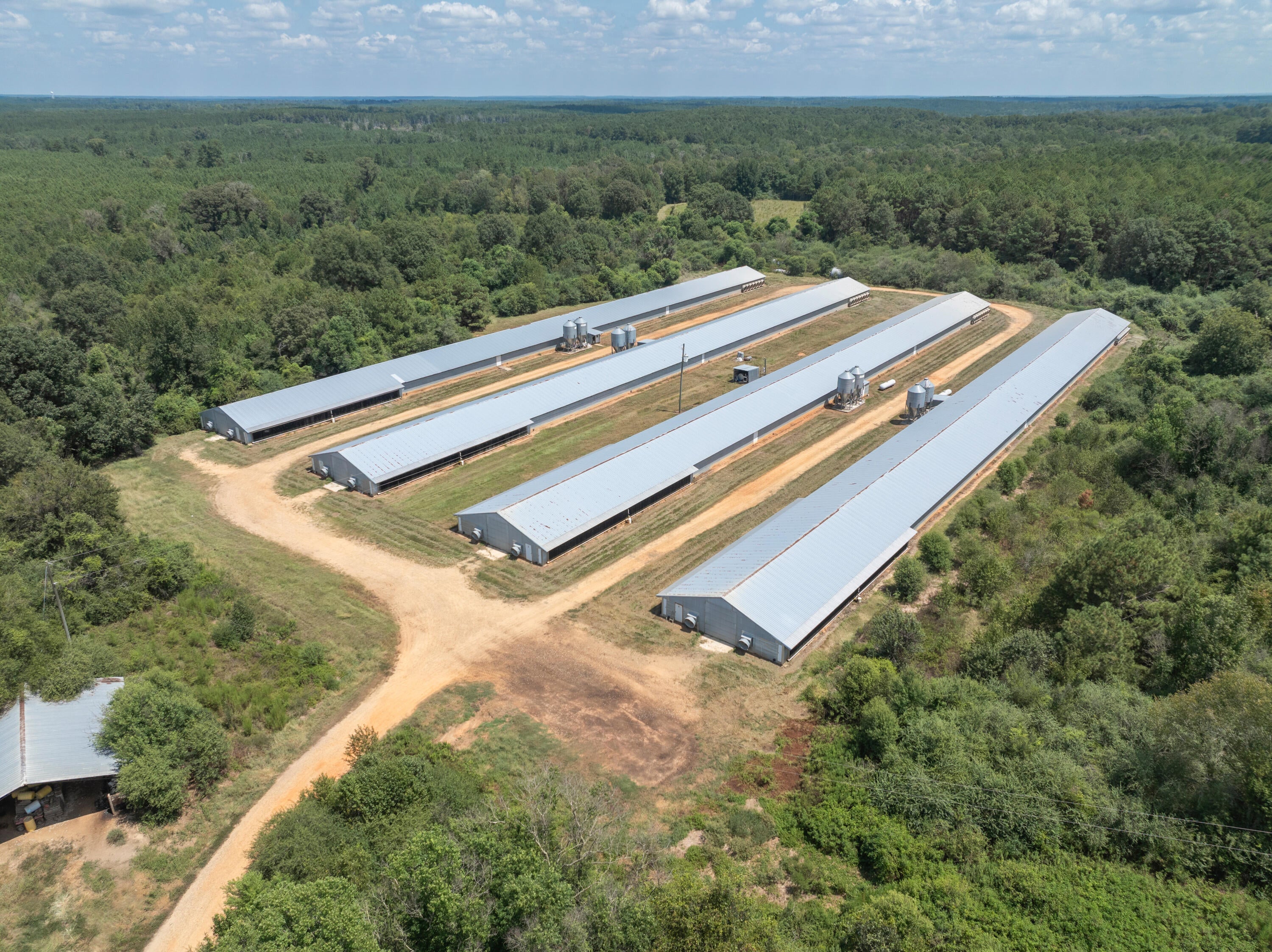 111 Alex Daley Road Carson, MS 39427 - Photo 1 of 1 POULTRY FARM