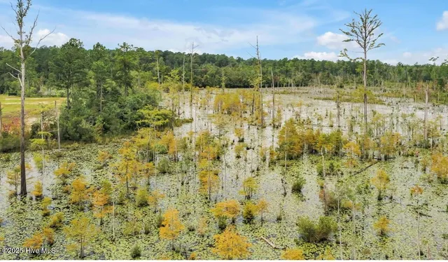 $469,990 | 2007 Red Woodpecker Court, Unit 33, Leland, NC 28451