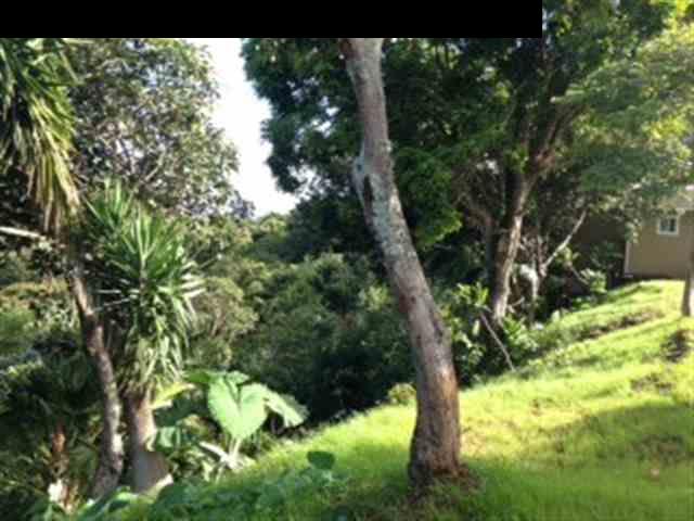 2112 Kaupakalua Road Haiku, HI 96708 - Photo 24 of 28 a backyard of a house with lots of green space