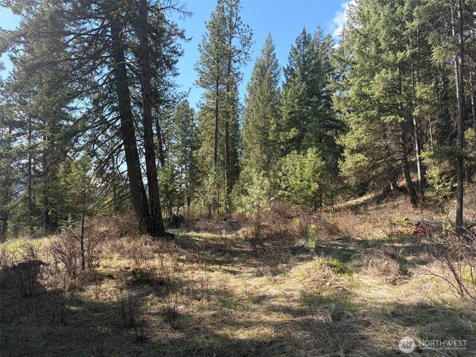 111-tbd West Curlew Lake Road Republic, WA 99166 - Photo 6 of 17