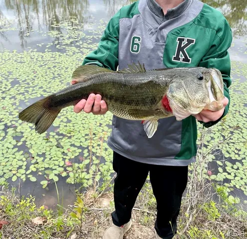 $549,900 | 14502 State Highway East, Cadet, MO 63630