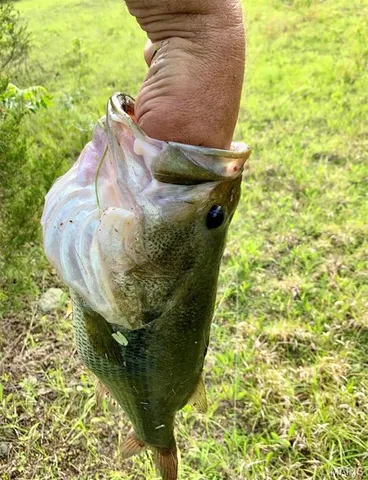 $549,900 | 14502 State Highway East, Cadet, MO 63630