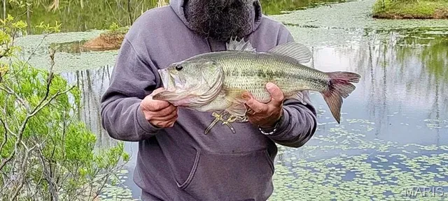 $549,900 | 14502 State Highway East, Cadet, MO 63630