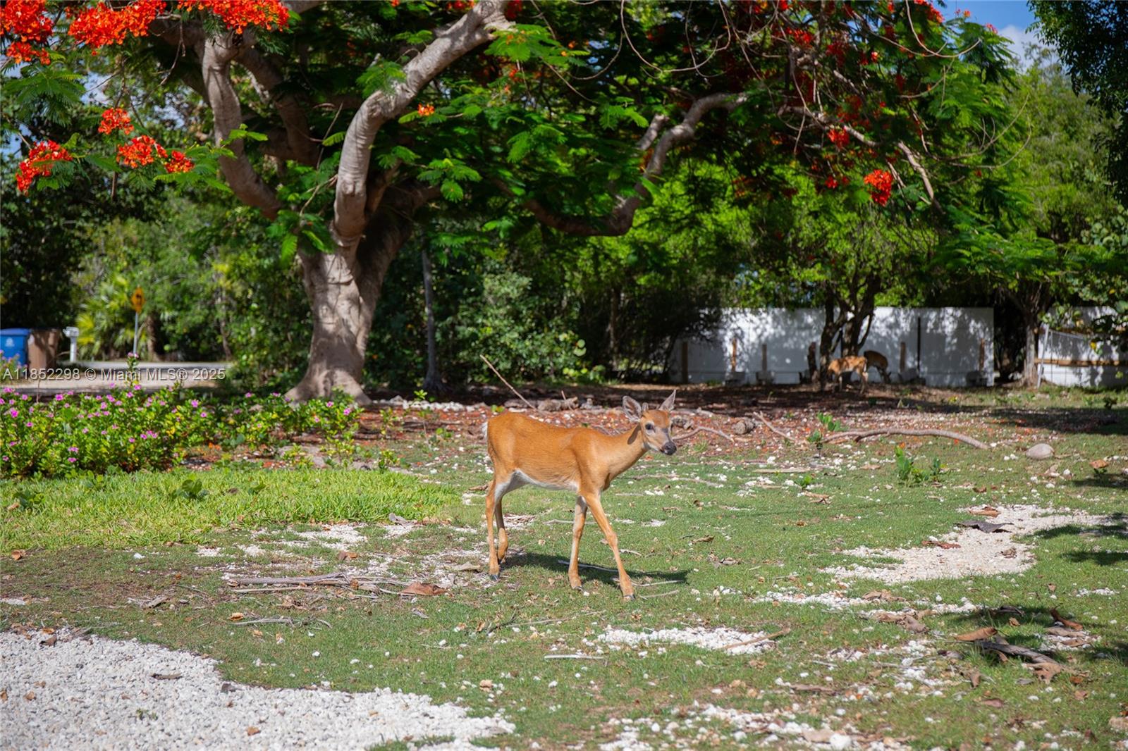 2231 Middle Torch Road Summerland Key, FL 33042 - Photo 33 of 33 a backyard of a house with table and chairs