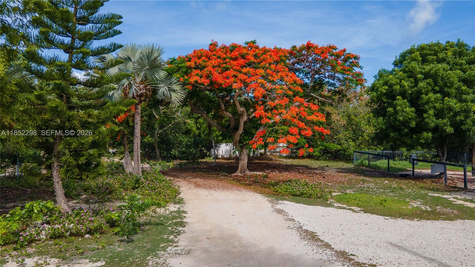 2231 Middle Torch Road Summerland Key, FL 33042 - Photo 35 of 36 a backyard of a house with lots of green space