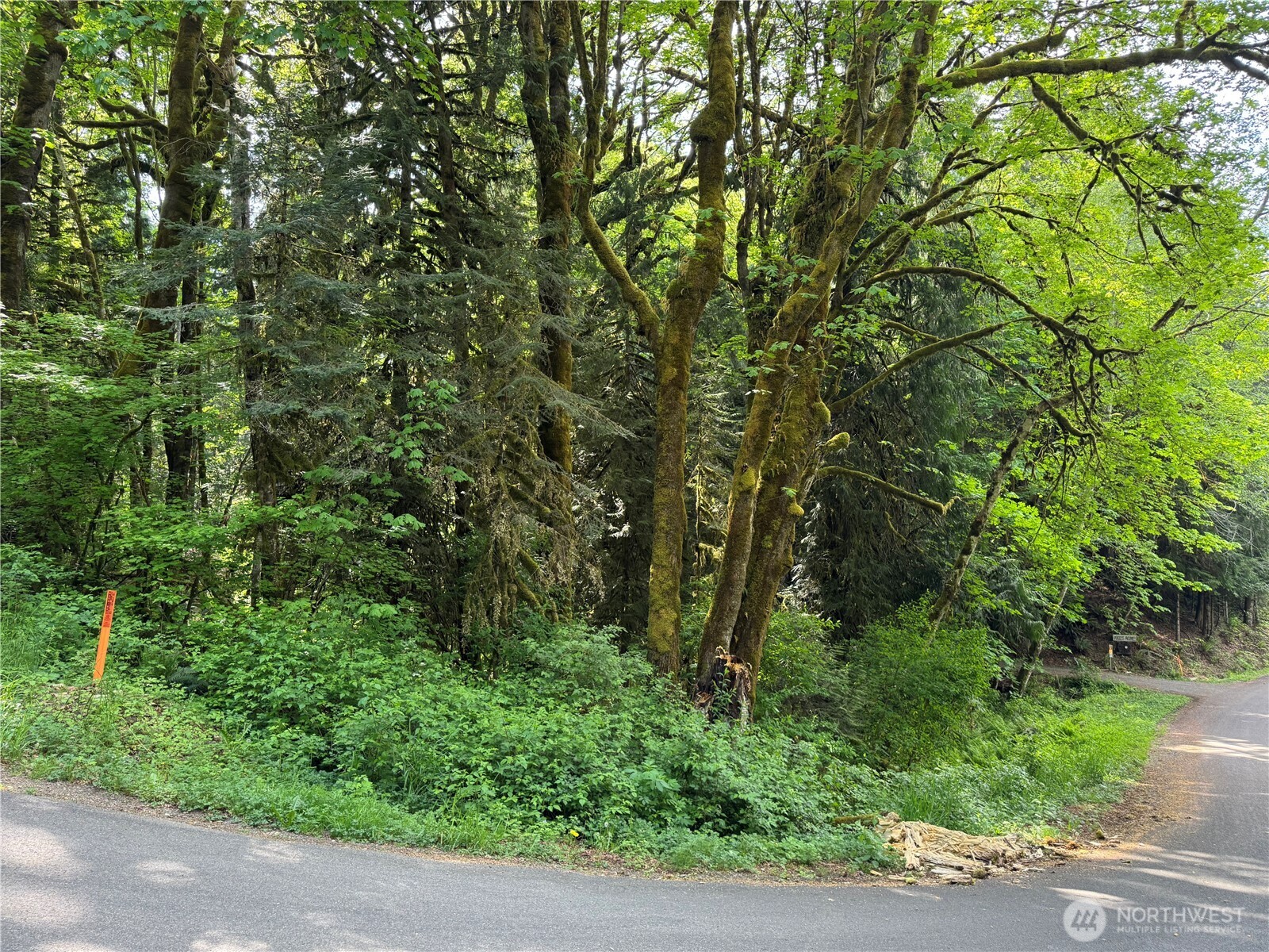 1111 Mountain Trail Road Brinnon, WA 98320 - Photo 8 of 8 Gallery Image 8