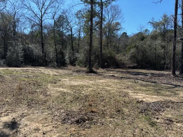 $35,500 | Lot #6 Jessie Stogner Road, Sandy Hook, MS 39478