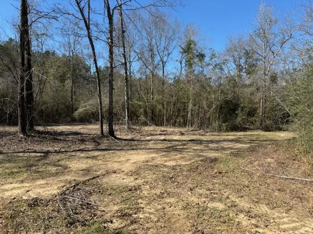 $35,500 | Lot #6 Jessie Stogner Road, Sandy Hook, MS 39478