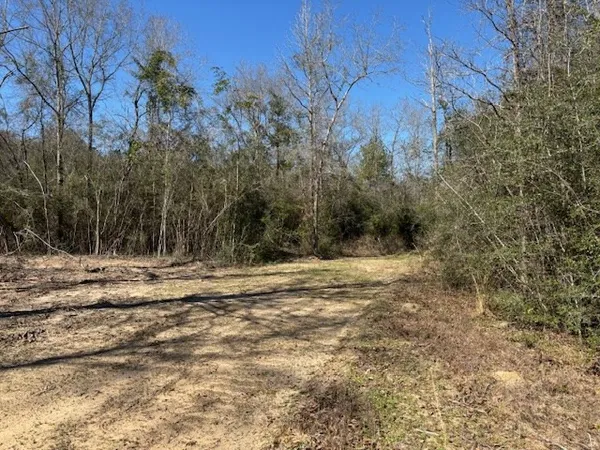 $35,500 | Lot #6 Jessie Stogner Road, Sandy Hook, MS 39478