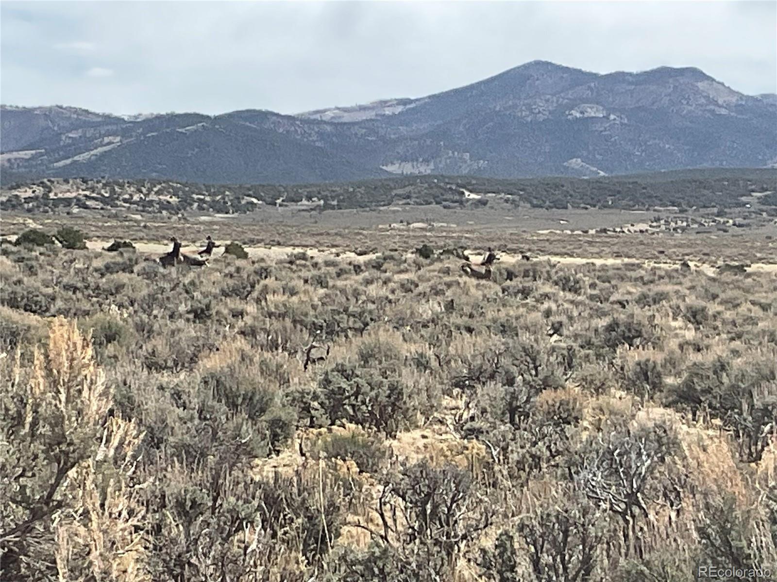 Lot 2923 Patterson Road Fort Garland, CO 81133 - Photo 16 of 17