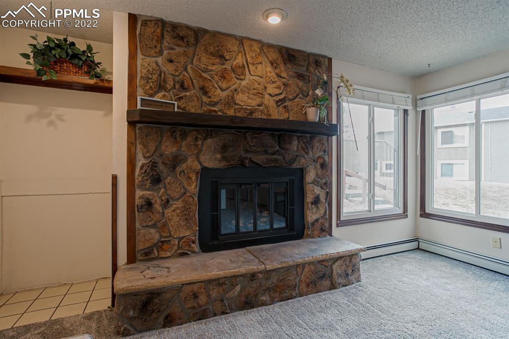 1140 Magic Lamp Way, Unit 3 Monument, CO 80132 - Photo 8 of 26 a living room with furniture and a fireplace
