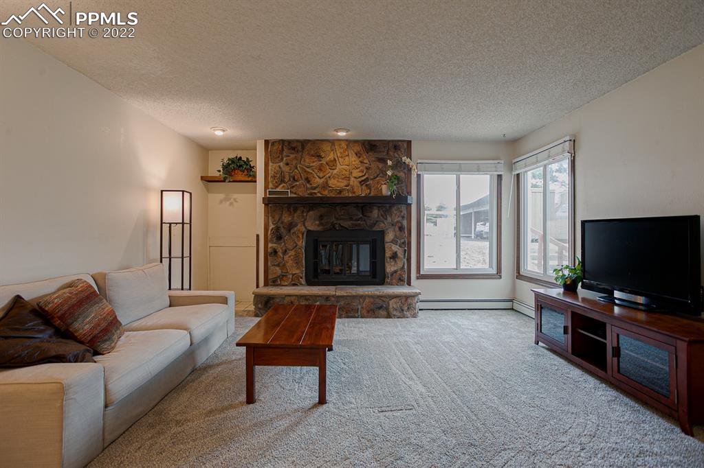 1140 Magic Lamp Way, Unit 3 Monument, CO 80132 - Photo 9 of 26 a living room with furniture and a flat screen tv