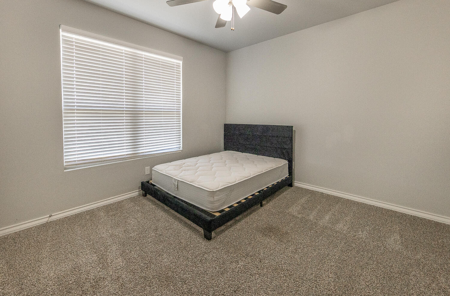 703 East 17th Street Wolfforth, TX 79382 - Photo 18 of 27 2L9A1172