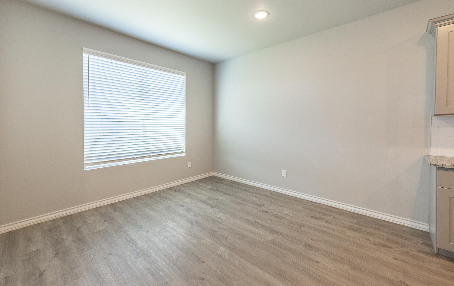 703 East 17th Street Wolfforth, TX 79382 - Photo 9 of 27 2L9A1103