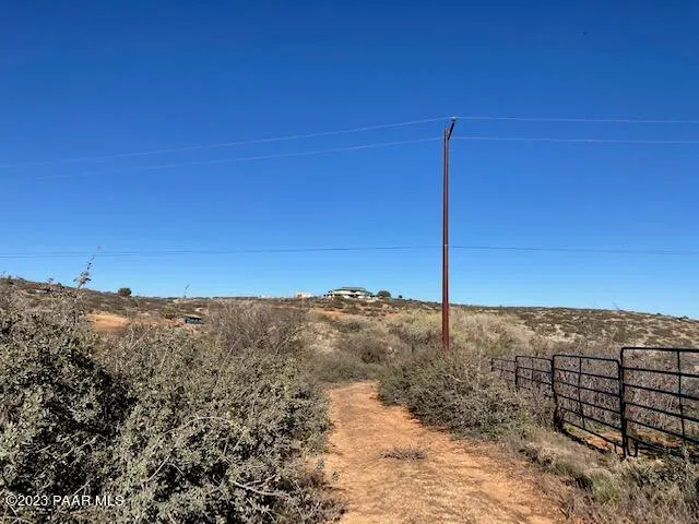 a view of a yard with trees
