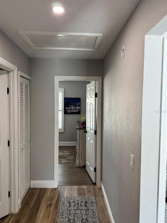 5221 Spike Horn Drive New Port Richey, FL 34653 - Photo 17 of 34 a bathroom with a sink and a mirror