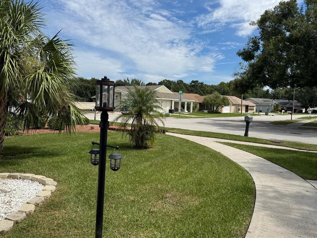 5221 Spike Horn Drive New Port Richey, FL 34653 - Photo 34 of 34