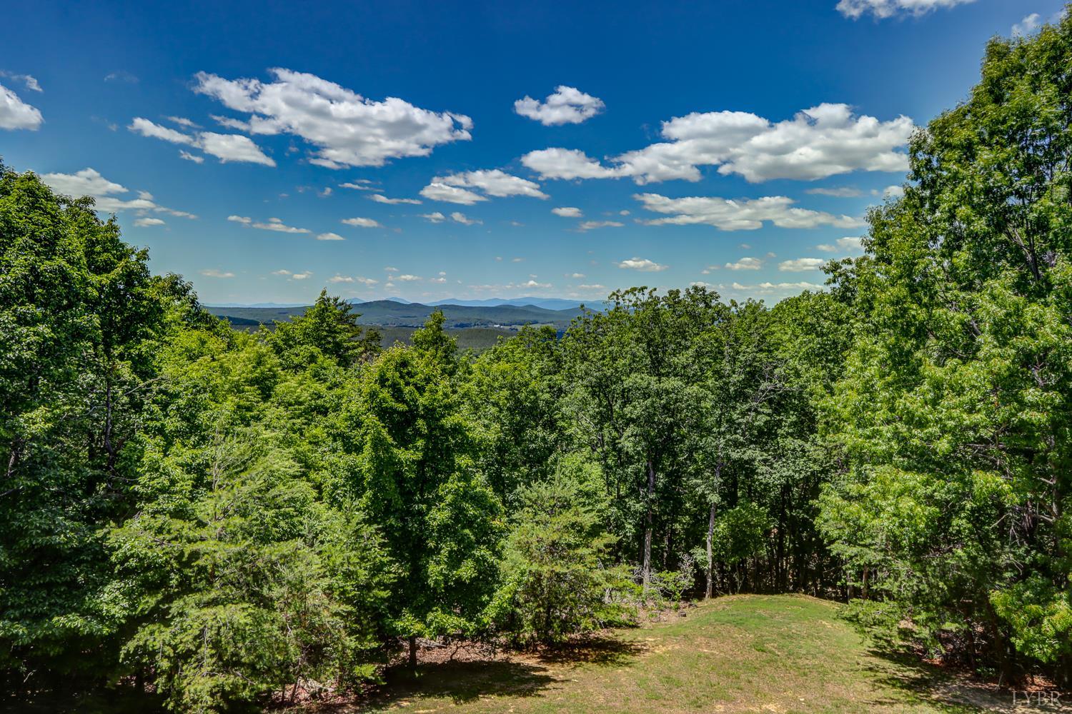 585 Cresthill Road Lynchburg, VA 24504 - Photo 48 of 48
