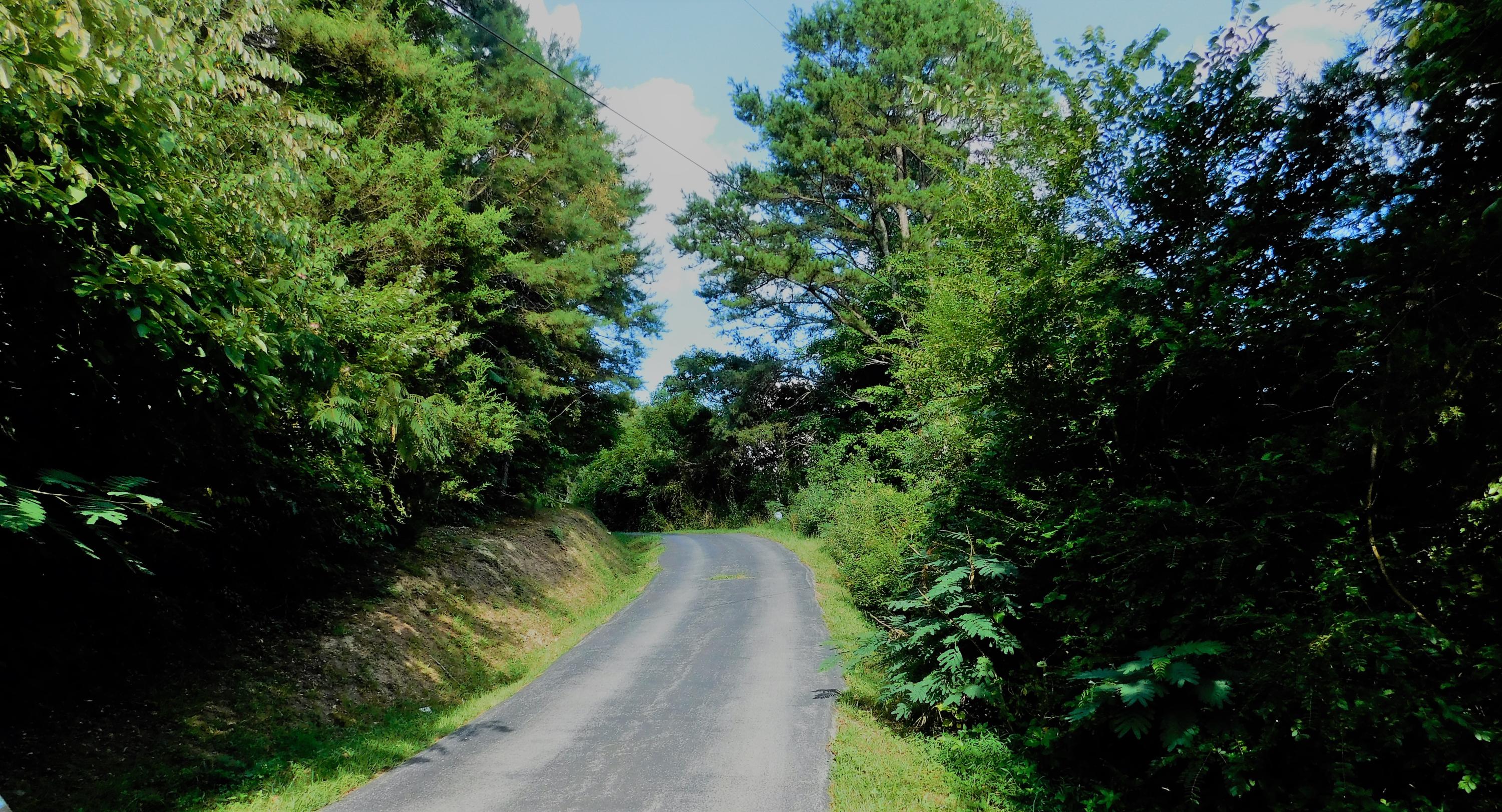 399 Hunley Road Speedwell, TN 37870 - Photo 11 of 39 DSCN3847