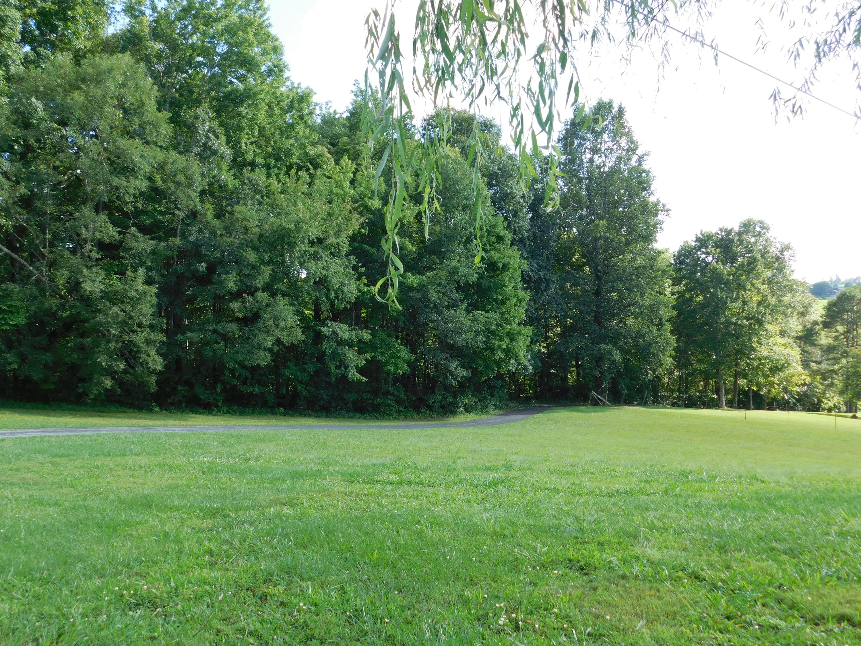 399 Hunley Road Speedwell, TN 37870 - Photo 5 of 39 DSCN3803