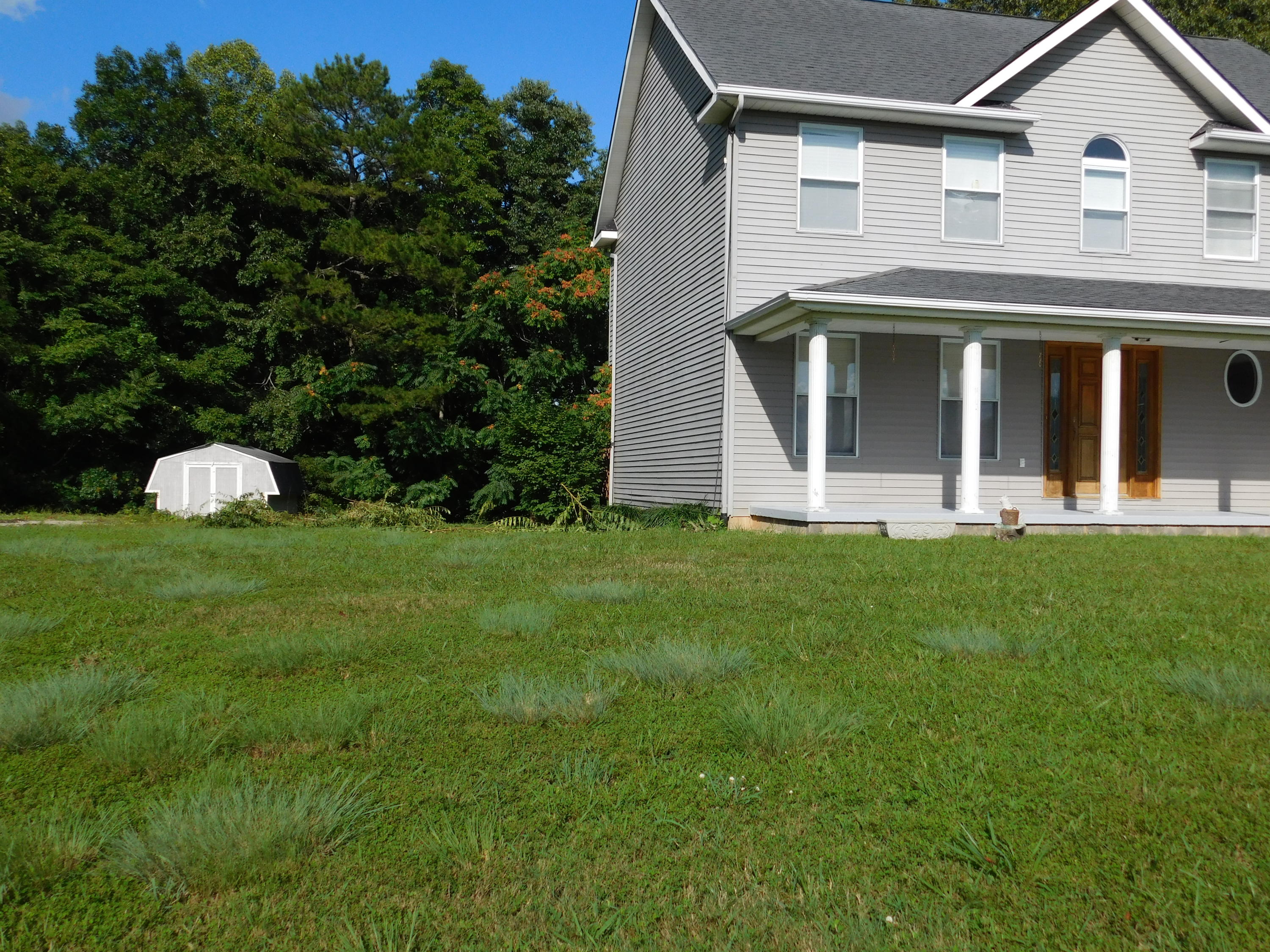 399 Hunley Road Speedwell, TN 37870 - Photo 8 of 39 DSCN3797