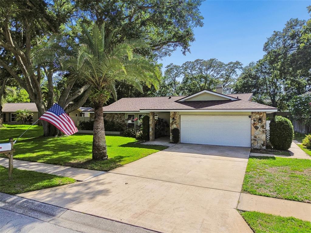 515 Sandy Hook Road Palm Harbor, FL 34683 - Photo 57 of 83 Gallery Image 57