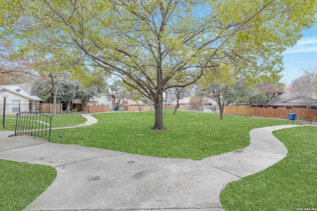 a view of a park with large trees