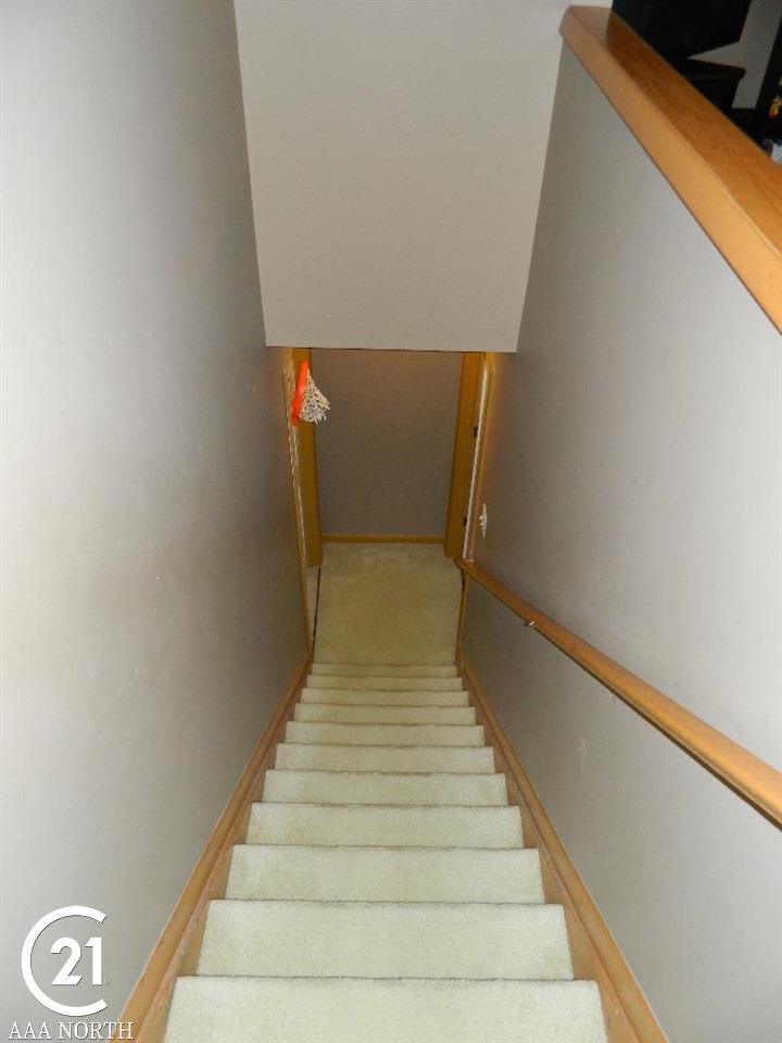 423 Ewell Street Romeo, MI 48065 - Photo 21 of 28 Basement Stairs