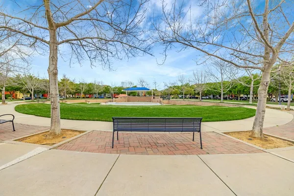 a view of a park with large trees