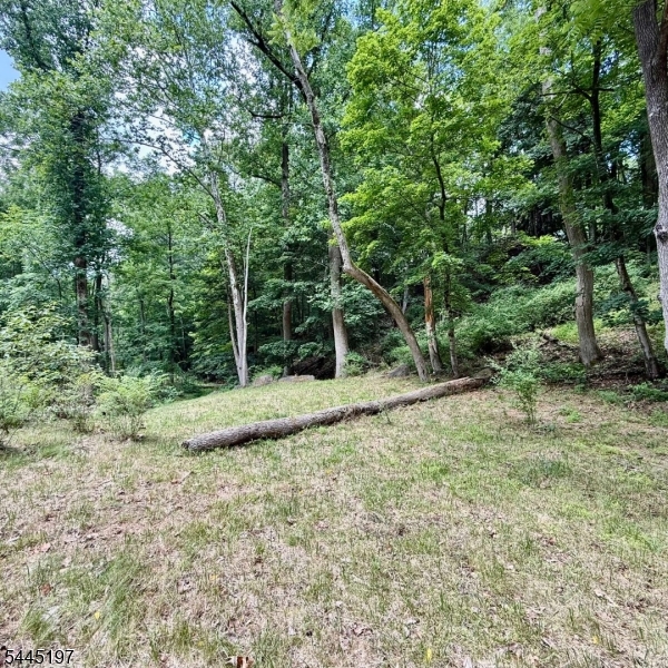 58 Hollow Road Glen Gardner, NJ 08826 - Photo 12 of 17