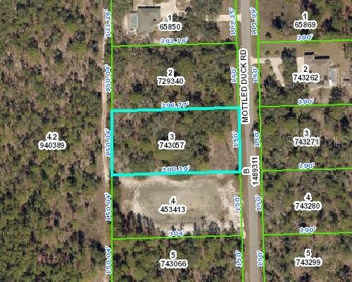 13111 Mottled Duck Road Weeki Wachee, FL 34614 - Photo 1 of 1 Gallery Image 1