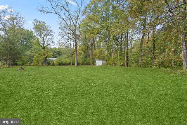 a view of a grassy field with trees