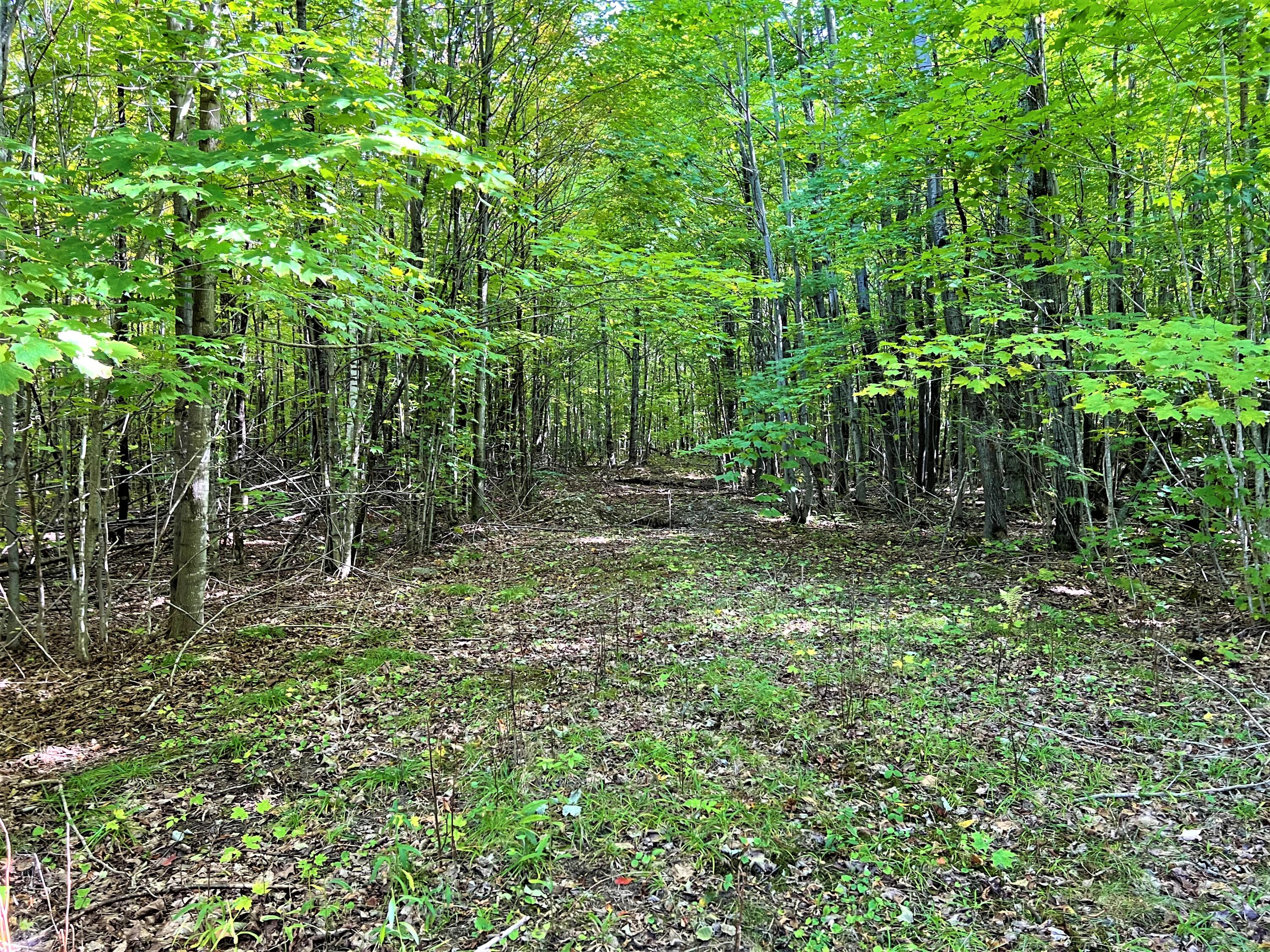 12552 Bates Road Cheboygan, MI 49721 - Photo 10 of 39 Gallery Image 10