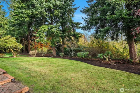 a view of a yard with a tree