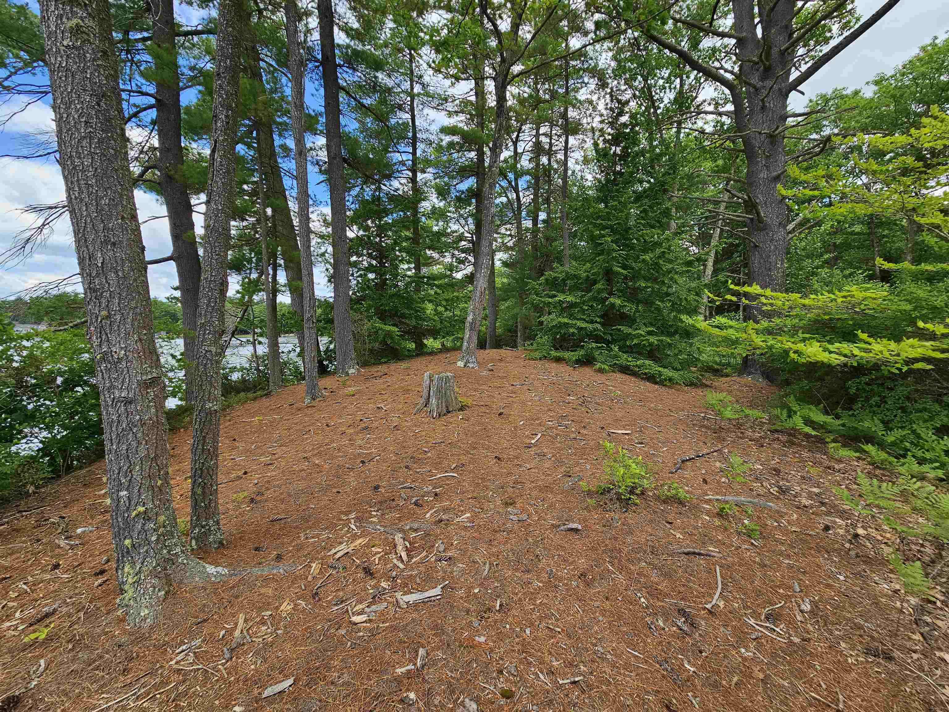 0 Meadow Pond Road Gilmanton, NH 03237 - Photo 4 of 36