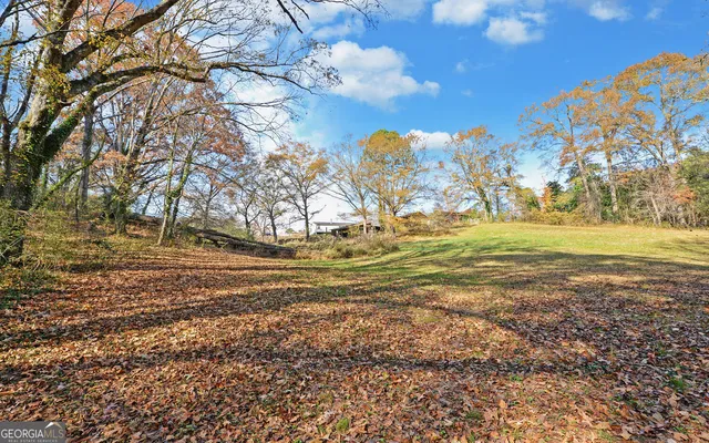a view of a field with an trees