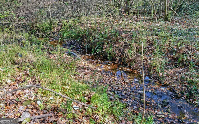 a view of a yard with an trees