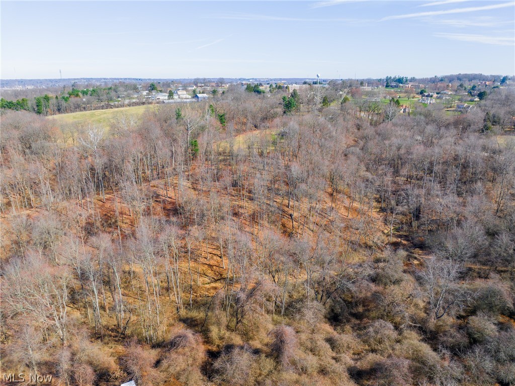 2535 Millersburg Road Wooster, OH 44691 - Photo 42 of 46 Bird's eye view