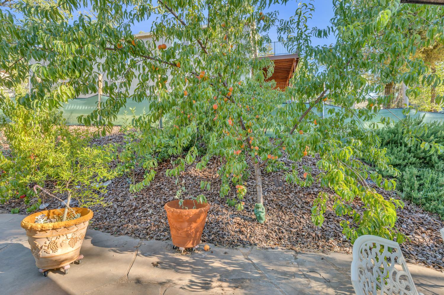21930 Placer Hills Road Colfax, CA 95713 - Photo 77 of 98